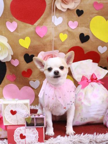 20230207モナちゃん